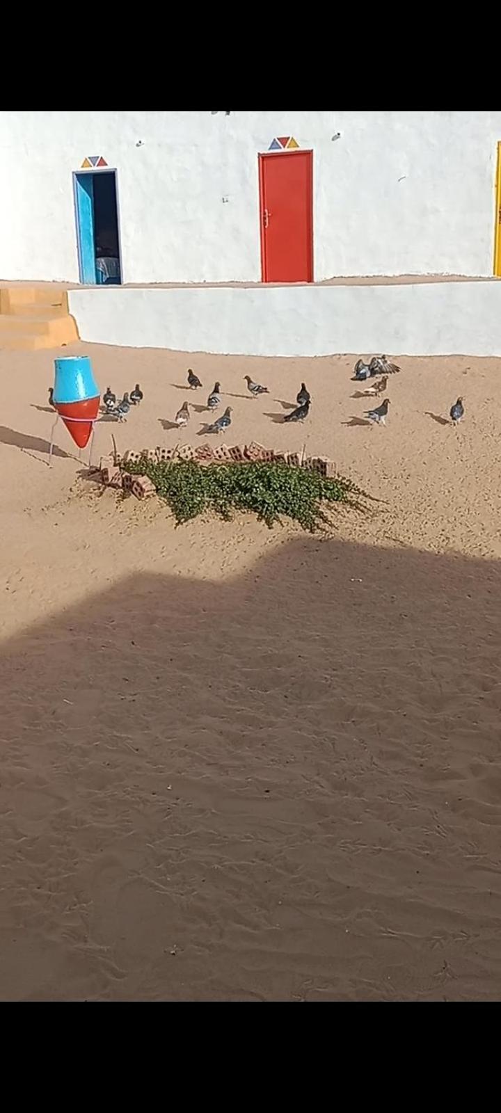بيت شمس Aswan Exterior photo