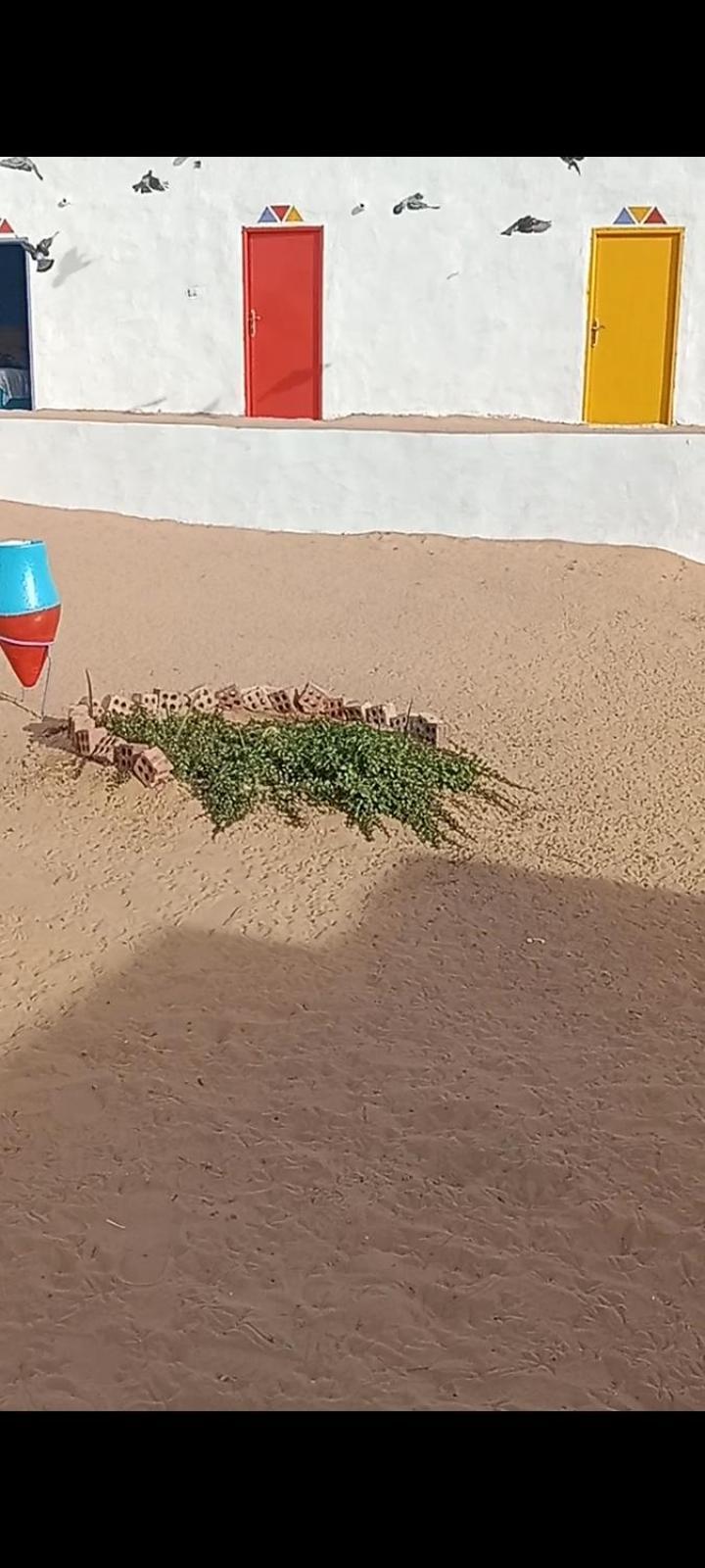 بيت شمس Aswan Exterior photo